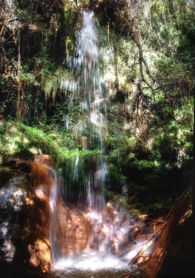 Apartamento El Refugio De Mecina Mecina Fondales Buitenkant foto