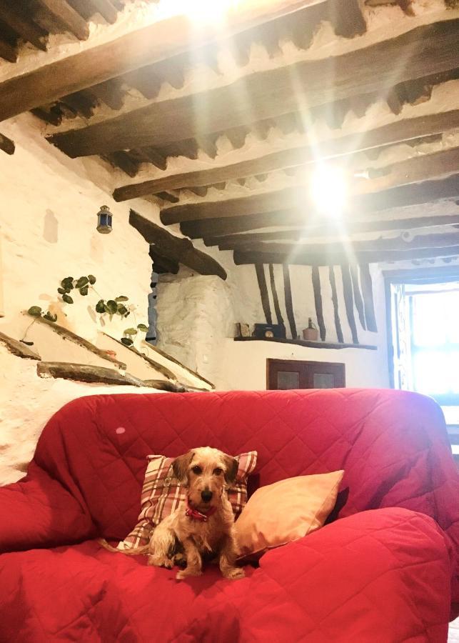 Apartamento El Refugio De Mecina Mecina Fondales Buitenkant foto