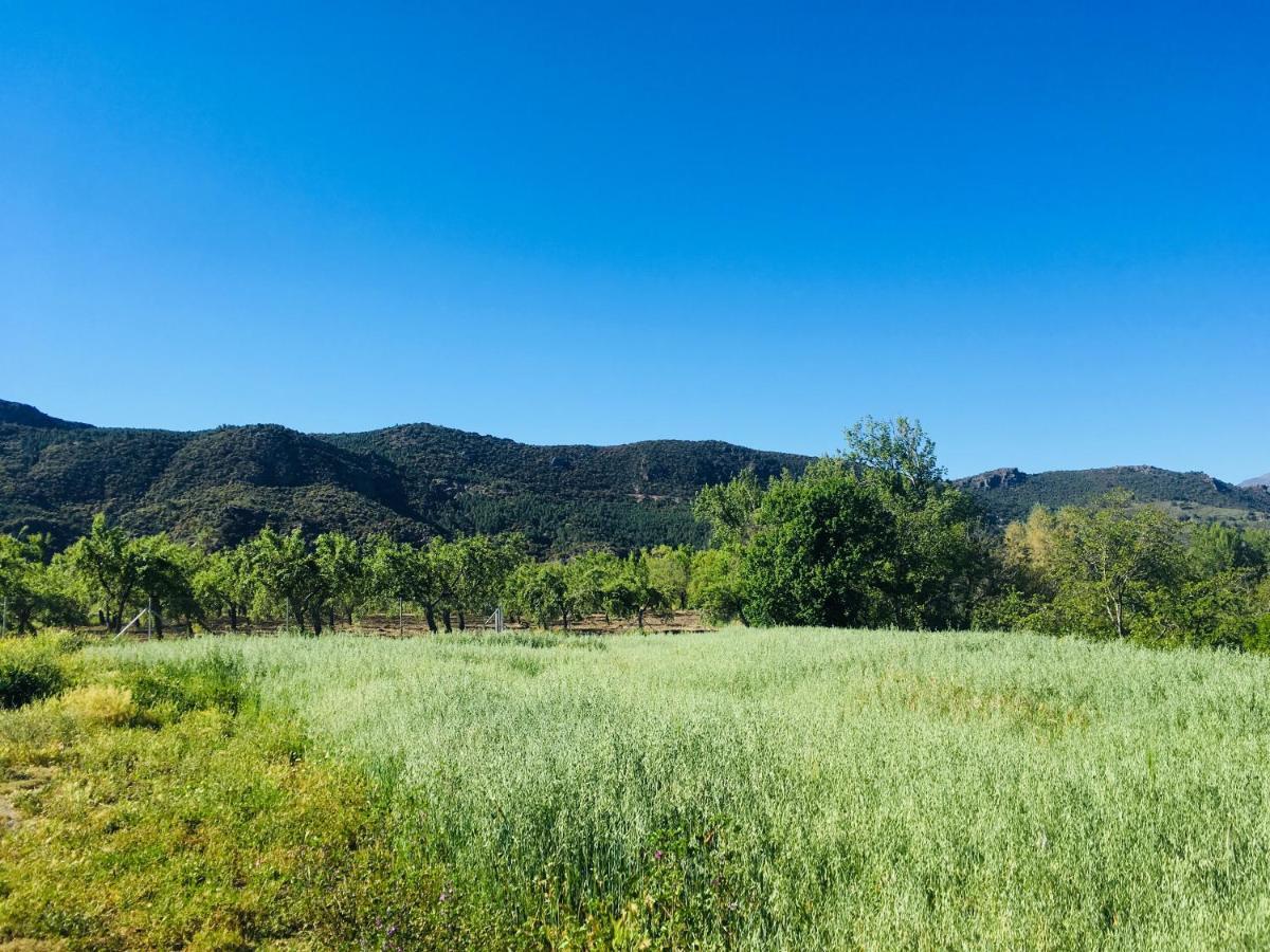 Apartamento El Refugio De Mecina Mecina Fondales Buitenkant foto