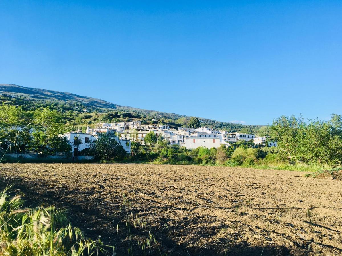 Apartamento El Refugio De Mecina Mecina Fondales Buitenkant foto